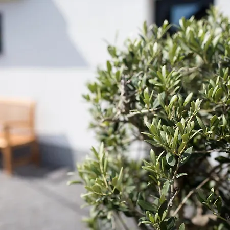 Sklep Mozajka Apartment